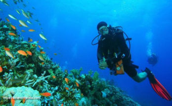 How To Scuba Dive, Scuba Education, Diving Strategies