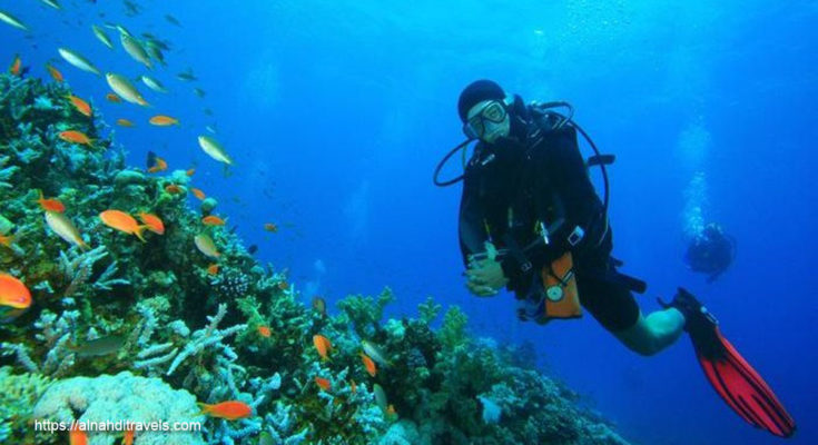 How To Scuba Dive, Scuba Education, Diving Strategies